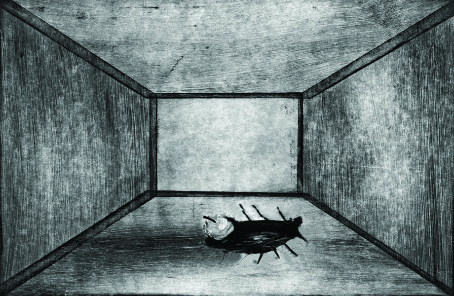 ilustrace k povidce Promena od Franze Kafky